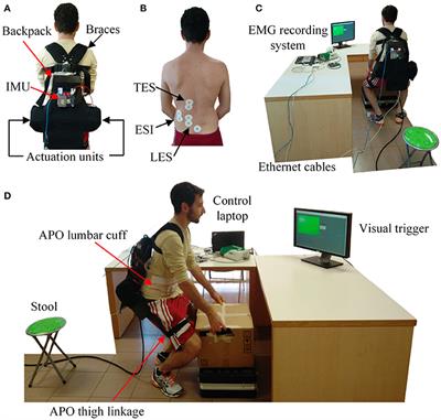 A Real-Time Lift Detection Strategy for a Hip Exoskeleton